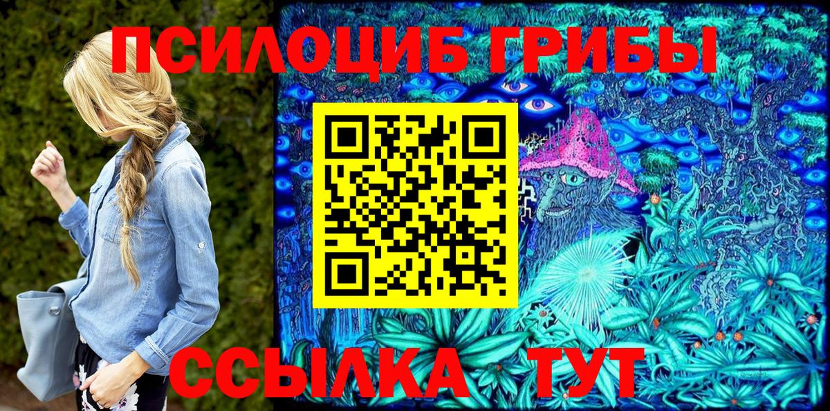 Ивантеевка  Псилоцибиновые грибы ЛСД  Вход с VPN  Галлюциногенные грибы прущие грибы 